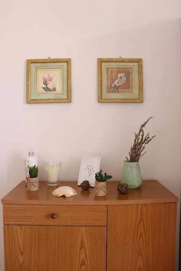 Aleta Apartment Rovinj Croatia